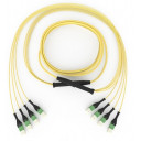 edge-trunk-48xos2-4xmtpf-mtpf-10m