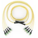 edge-trunk-48xos2-4xmtpf-mtpf-10m