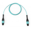 mtp-patch-8-fiber-mtp-pro-f-f-om4-1m