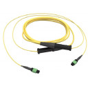 edge8-trunk-8-fiber-mtp-sm-os2-terminering