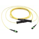 edge8-trunk-8-fiber-mtp-sm-os2-terminering