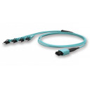 edge8-harness-mtp-4xlc-d-om4-s2a-1m