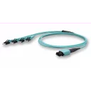 edge8-harness-mtp-4xlc-d-om4-s2a-1m