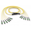 edge8-trunk-32-fiber-mtp-sm-os2-terminering