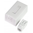 paveggskontakt-1xkeystone-tom