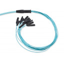 edge-trunk-144-fiber-mtp-om4-terminering