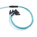 edge-trunk-144-fiber-mtp-om4-terminering