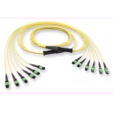 edge8-trunk-48xos2-mtpm-mtp-terminering