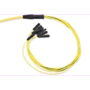 edge-trunk-96-fiber-mtp-os2-terminering
