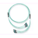 edge-trunk-72-fiber-mtp-om4-terminering