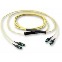 edge8-trunk-16xos2-terminering